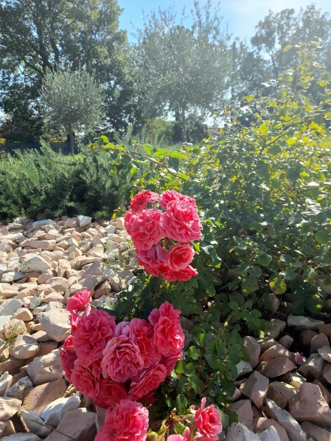 Relais Villa Sofia Calcinelli 外观 照片