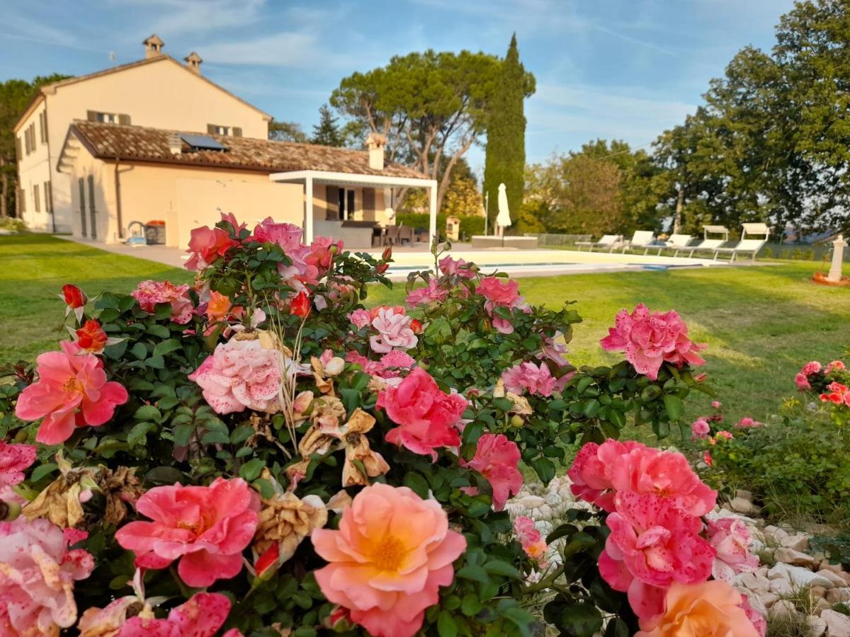 Relais Villa Sofia Calcinelli 外观 照片
