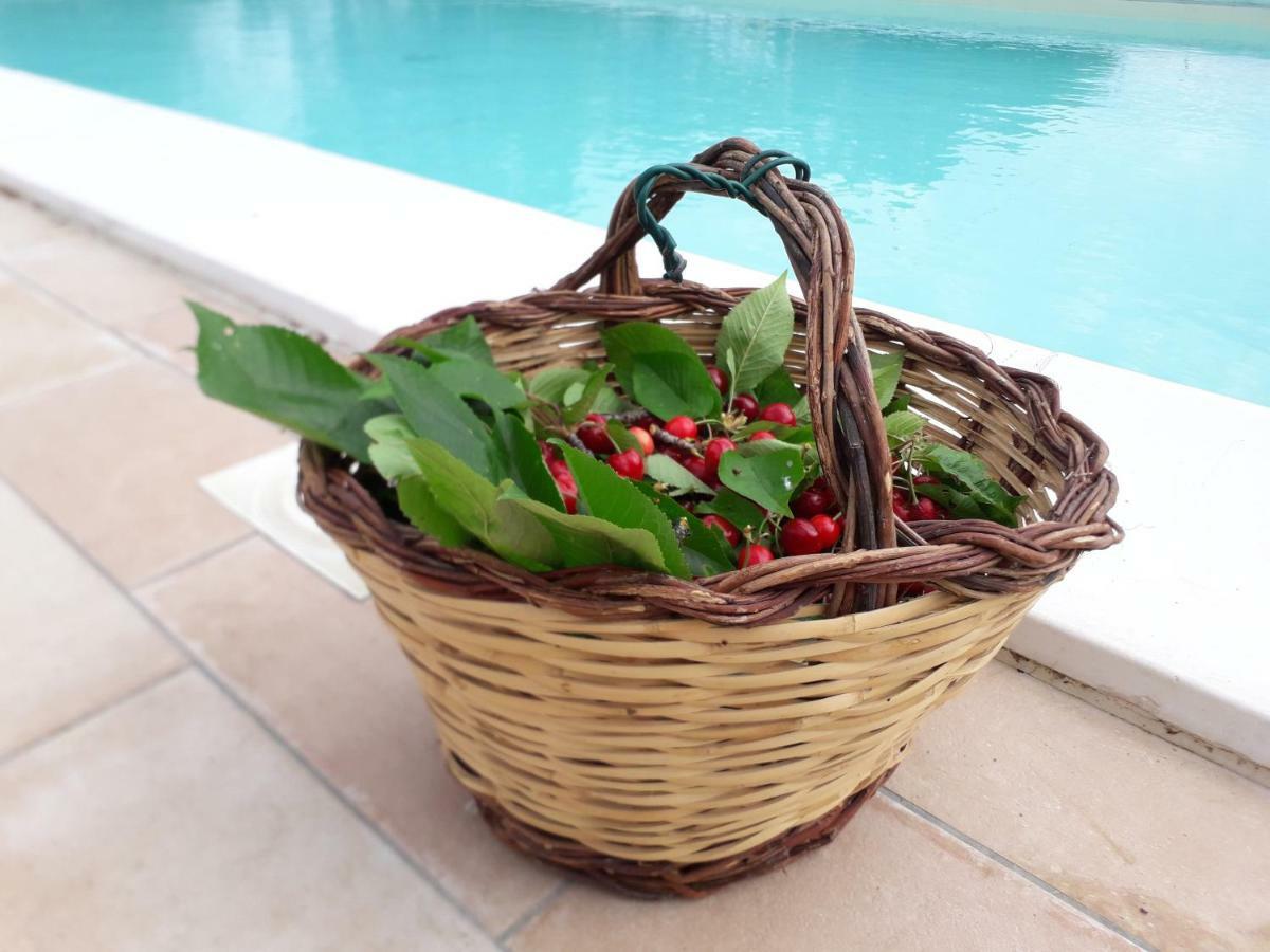 Relais Villa Sofia Calcinelli 外观 照片
